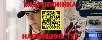 apvp Гагарин