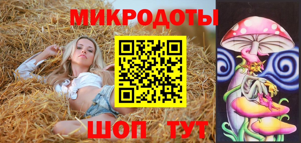 Псилоцибиновые грибы Cubensis Гудермес