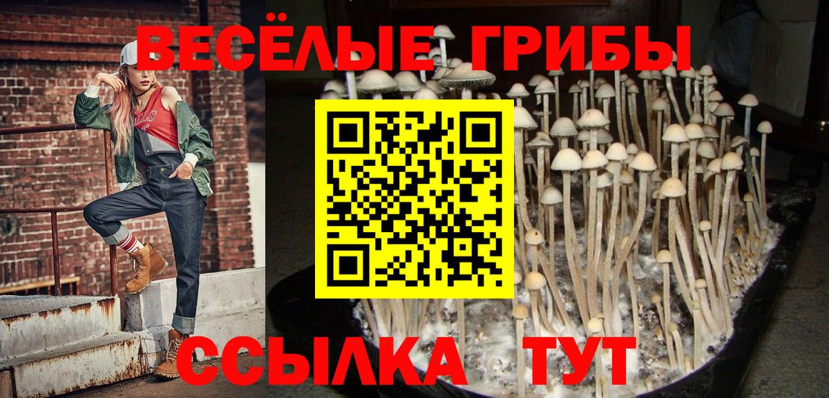 Гудермес  Псилоцибиновые грибы Magic Shrooms  Вход с VPN 